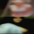 Girl Toledo getting fucked