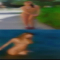 Transsexual looking free