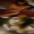 Find horny women