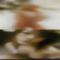 Horny wives