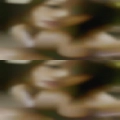 Short nude woman