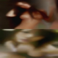 Slut wives