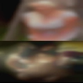 Find women tonight free